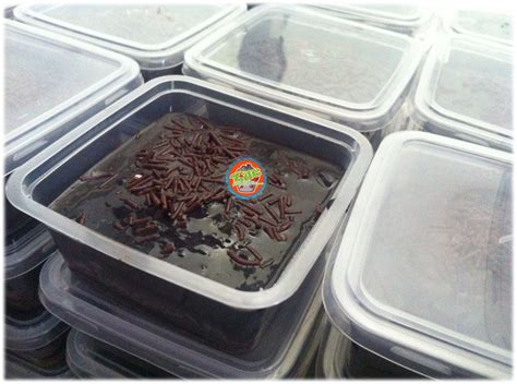 Contoh gambar cupcake, bekas plastik 4 segi , kotak cupcake holder & bekas plastik penutup dome. ~ Aneka Rasa Dari ZuE ~: ~POMOSI MOIST COKLAT CAKE MURAH 2018~