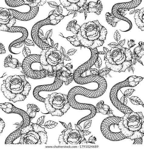 Snake Roses Seamless Pattern Sketch Style Stock Vector Royalty Free