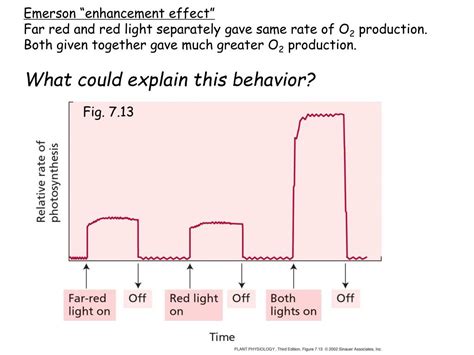* these statements have not. PPT - II. The light reactions of photosynthesis Objectives ...