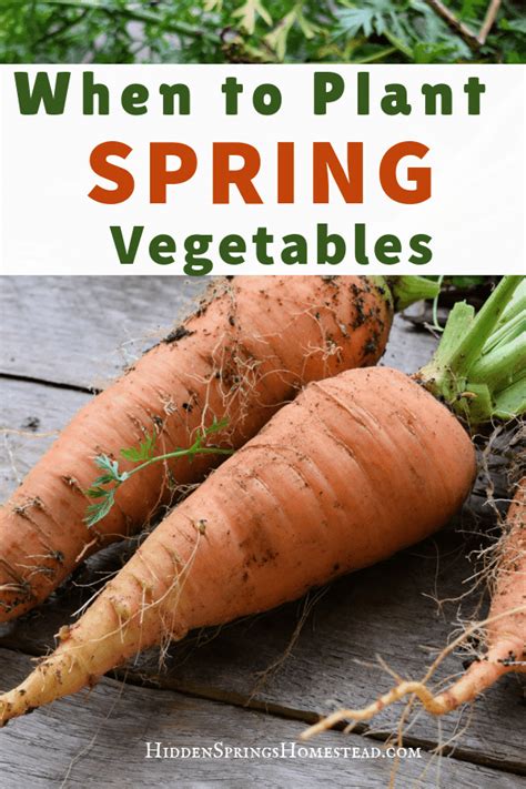 When To Plant Early Spring Vegetables Learn What To Look For To Know