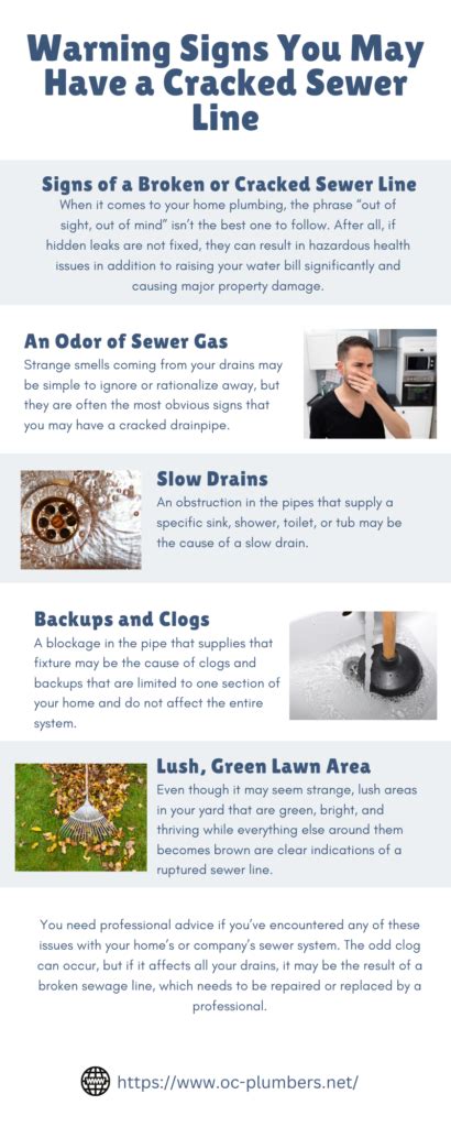 Warning Signs You May Have A Cracked Sewer Line Orange County Plumbers