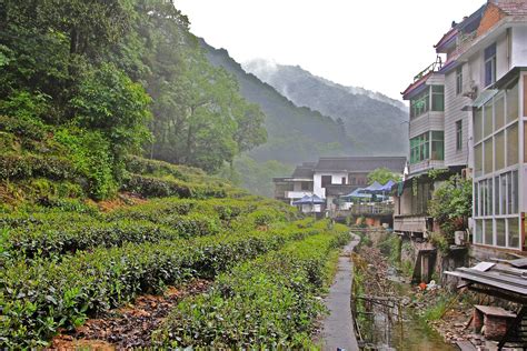 Travelling Diary Trip To Meijiawu Tea Culture Village Hangzhou China