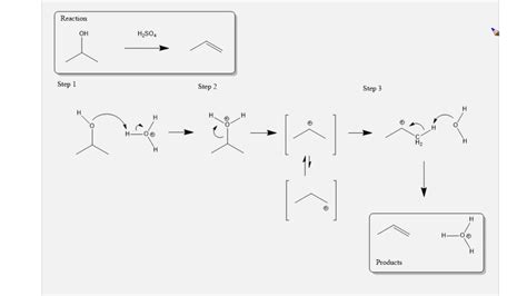 Dehydration Reaction Definition And Examples Biology Vrogue Co