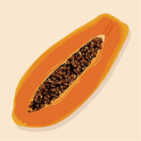 Cute Papaya Clipart Fruit Illustration Premium Psd Illustration