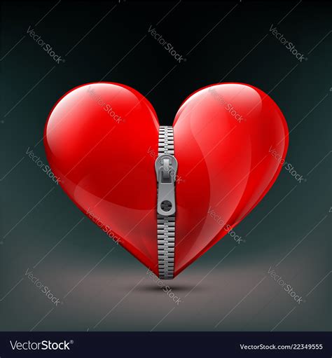 Realistic Icon Of Human Red Heart With Zipper Vector Image