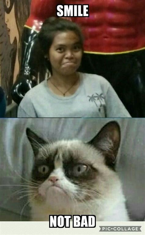 Grumpy Cats Human Memes Memes Grumpycat Lol Funny Animal Photos