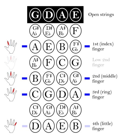 Violin Fingering Chart String Notes And Other Tips For Beginners
