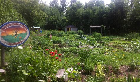 8 Things To Know About Community Gardens Nourish Project