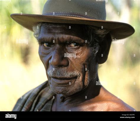 David Daymirringu Malangi Famous Aboriginal Artist Whose Bark Stock