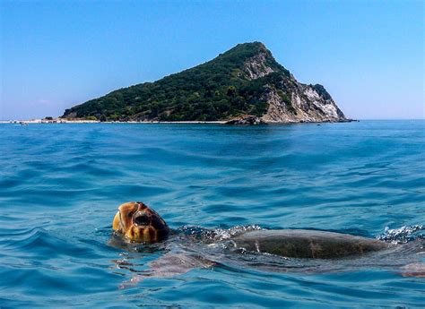 Tripadvisor has 368,111 reviews of zakynthos hotels, attractions, and restaurants making it your best zakynthos resource. Marathonisi - KS VIP Transfer