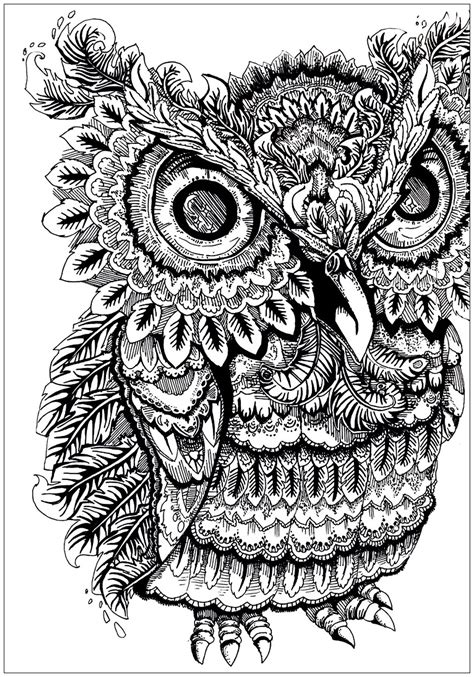 Owl Big Eyes Owls Adult Coloring Pages