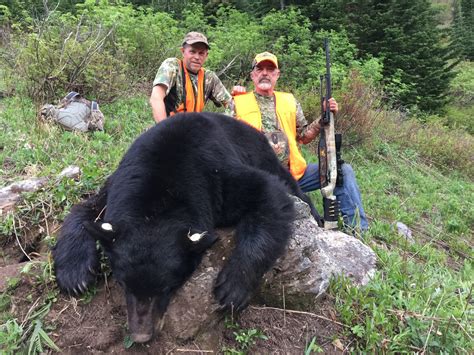 Best Montana Black Bear Hunts Montana Hunting Outfitter