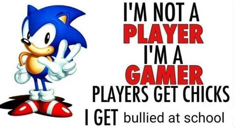 Im Not A Player Im A Gamer Players Get Chicks Get Bullied At School