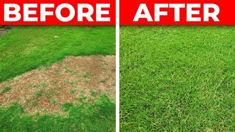 How To Fix A Bare Spot In The Lawn 3 Tips For Fast Repair Youtube
