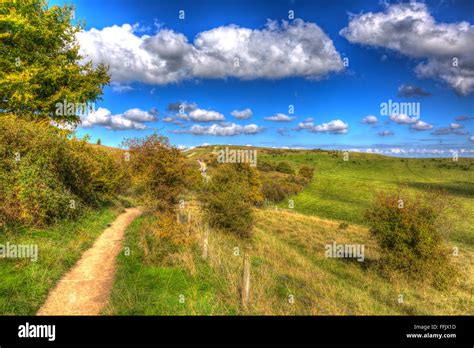 Path To Ivinghoe Beacon Chiltern Hills Buckinghamshire England Uk