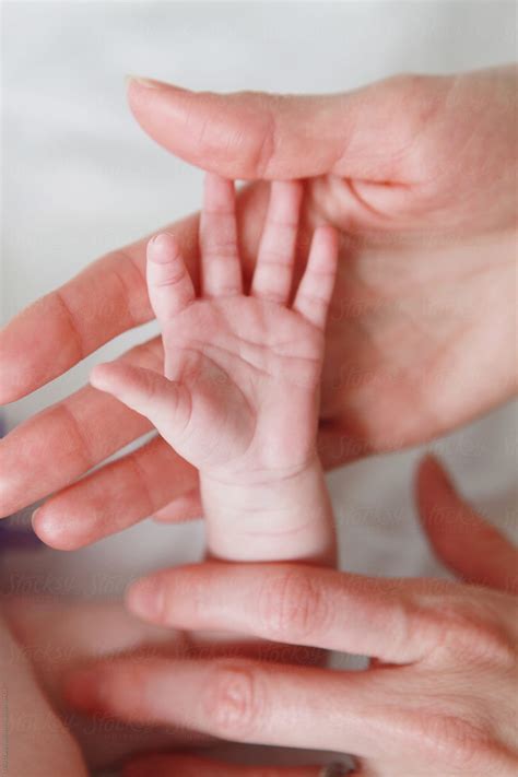 Mother And Babys Hand Showing Newborn Palm Stocksy United