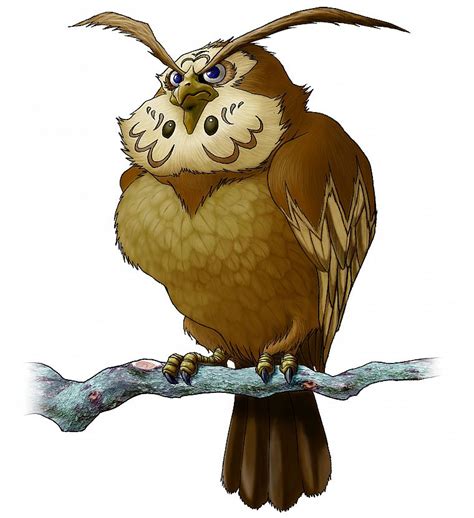 Birds Animals The Legend Of Zelda Owls The Legend Of Zelda Ocarina