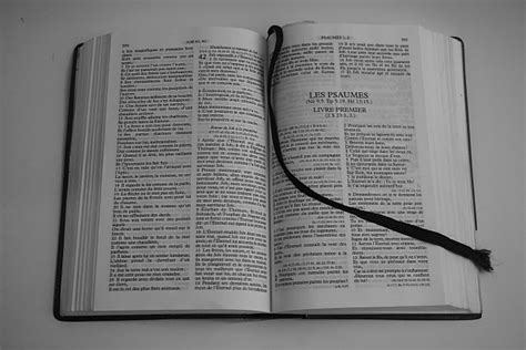 La Biblia Stock De Foto Gratis Public Domain Pictures
