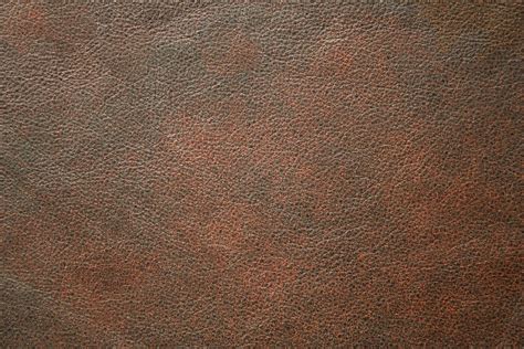 Leather Texture Leather Texture Seamless Texture