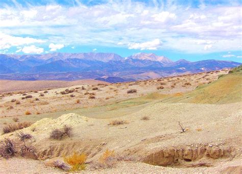 Desert Viewing Photograph By Marilyn Diaz Fine Art America