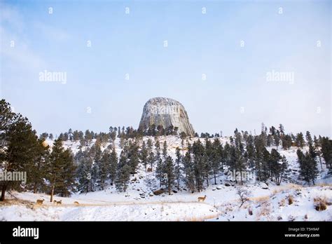 Devils Tower Wyoming National Park Hi Res Stock Photography And Images