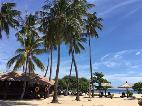Nilaveli Beach Resort Sri Lankaeastern Province Hotel Reviews