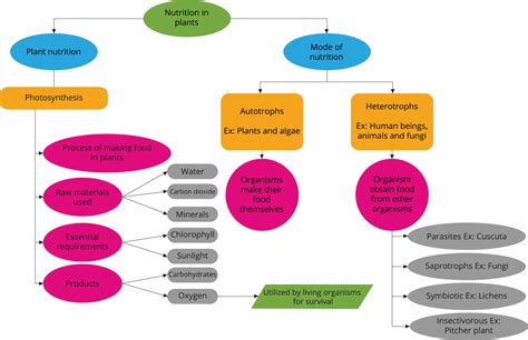 Mindmap — lesson. Science CBSE, Class 7.