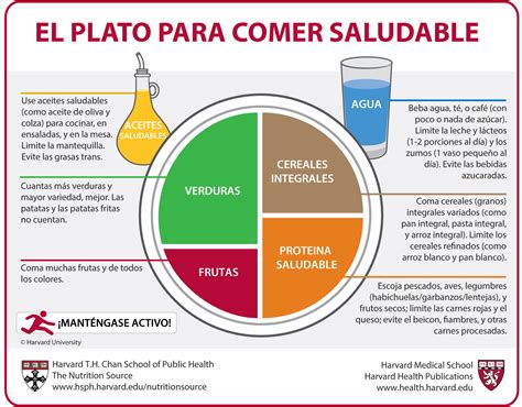 El Método Del Plato Divide El Plato En Cuatro Partes Con Estas Proporciones Para Comer De