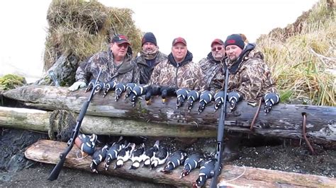 Harlequin Duck Hunting Adak Island With Ithaca Shotguns Youtube