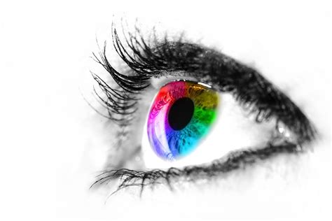 10 Facts About Color Vision Almanac Surfnetkids