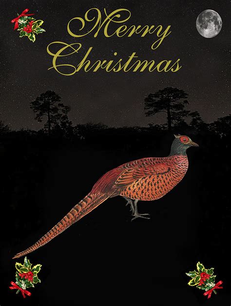 Christmas Pheasant Mixed Media By Eric Kempson Fine Art America