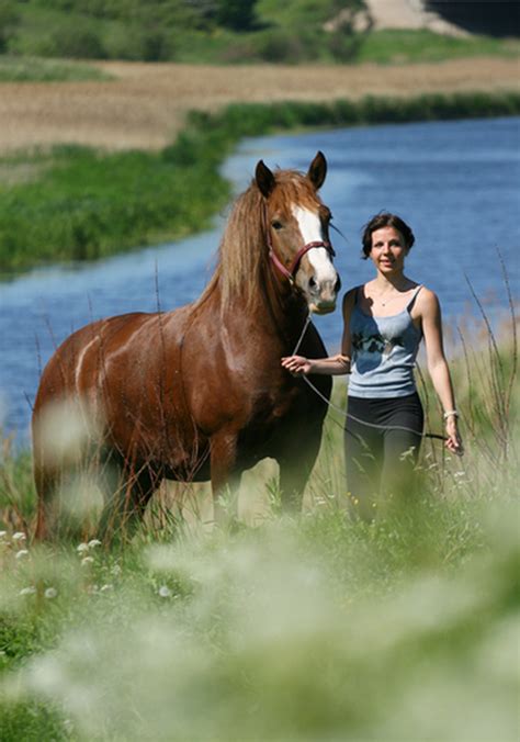 Choose the concentration based on the hours of protection you need. Risk of West Nile Virus Returns | EquiMed - Horse Health ...