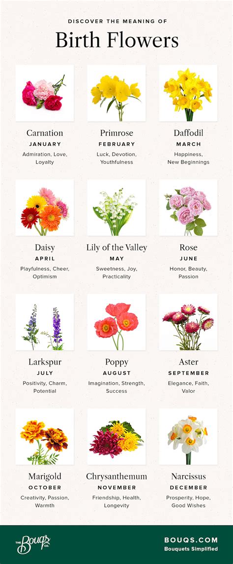 Best Flower T According To Your Birth Month The Luxe Insider