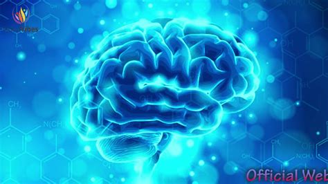 However, if the brain becomes damaged and deprived of oxygen for even 4 minutes the brain cells can die, this will affect the parts of the body that is in conclusion, one has discussed the brain as it relates to brain cell growth and the degeneration process. Brain Cell Regeneration & Healing ♬Damaged Brain Healing ...