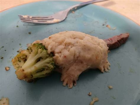 30 Disturbing Meals People Will Never Forget Eww Gallery Ebaums World