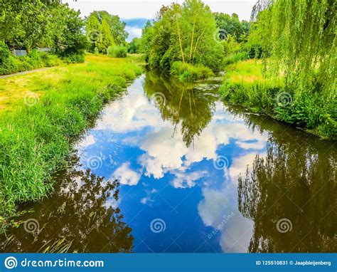 Beautiful Big River Water Lake In A Forest Landscape With Clouds