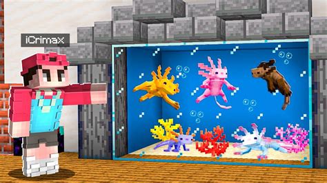 Ich Baue Ein Axolotl Aquarium In Minecraft 😍 Youtube
