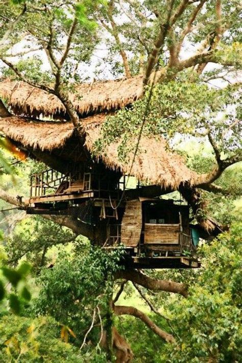 This petite design exudes an aura of simplicity but offers a space of privacy. 7 Stunning Tree House Architecture Designs | Tree house ...