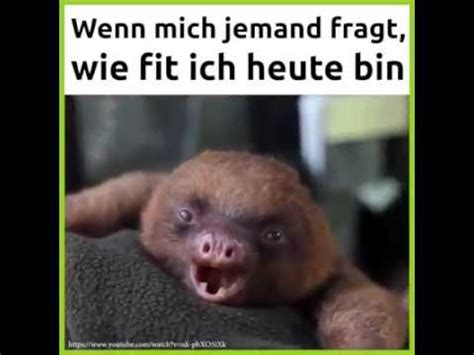 Expelliarmus du willst mehr von zoomania? Ein müdes Faultier. - YouTube
