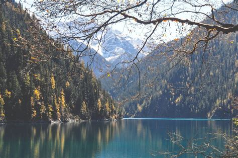 🥇 Image Of Lake Water Mountains Hills Trees Nature Landscape 【free
