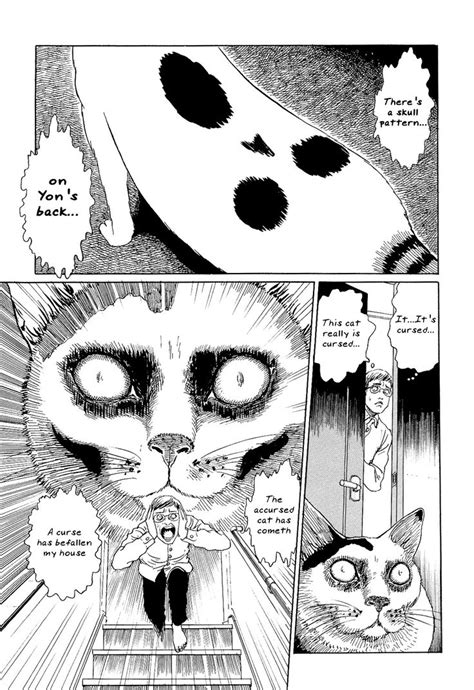 Ito Junjis Cat Diary Cat Diary Junji Ito Japanese Horror