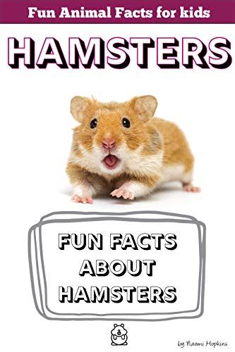 Fun Facts About Hamsters Fun Animal Facts For Kids Hamster Facts
