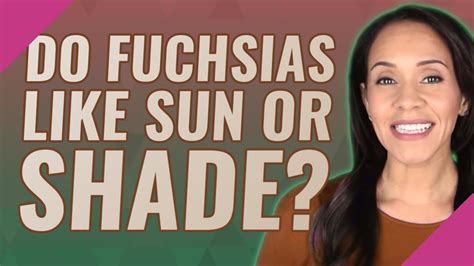 Do Fuchsias Like Sun Or Shade Trust The Answer