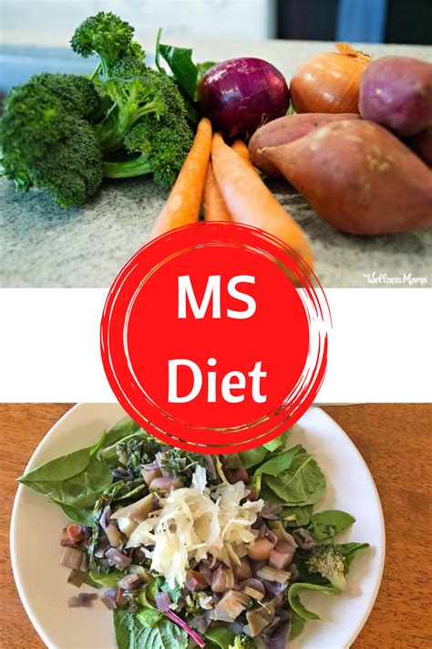 Multiple Sclerosis Diet To Balance Your Immune System Recipe For Success