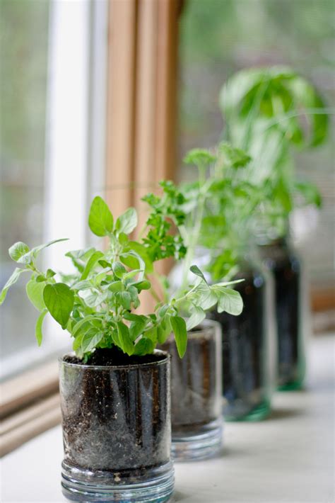 Creative Ideas For Growing Your Own Kitchen Herb Garden