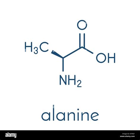 Alanine L Alanine Ala A Amino Acid Molecule Skeletal Formula Stock