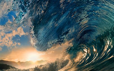 Waves Sunlight Surfing Tropical Paradise Ocean Sea