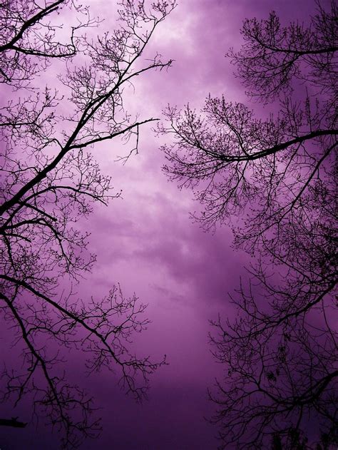 22 Best Sky Violet Images On Pinterest Favorite Color