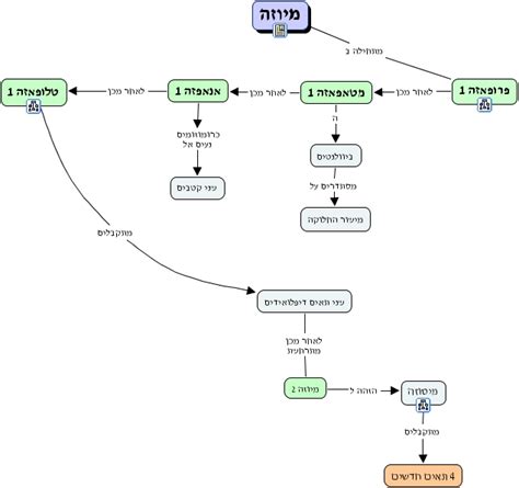 Click to see our best video content. IHMC CmapTools - Concept Map :: meiosis