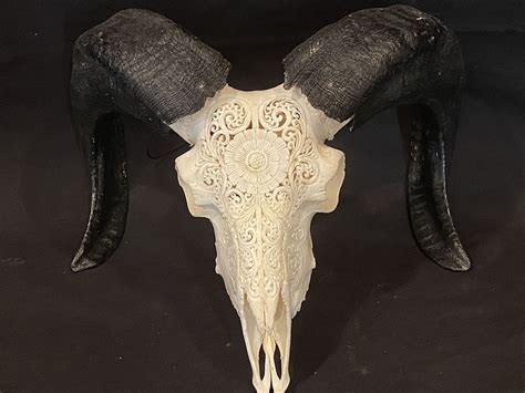 Ram Skull W Floral Carving Wormtown Trading Company